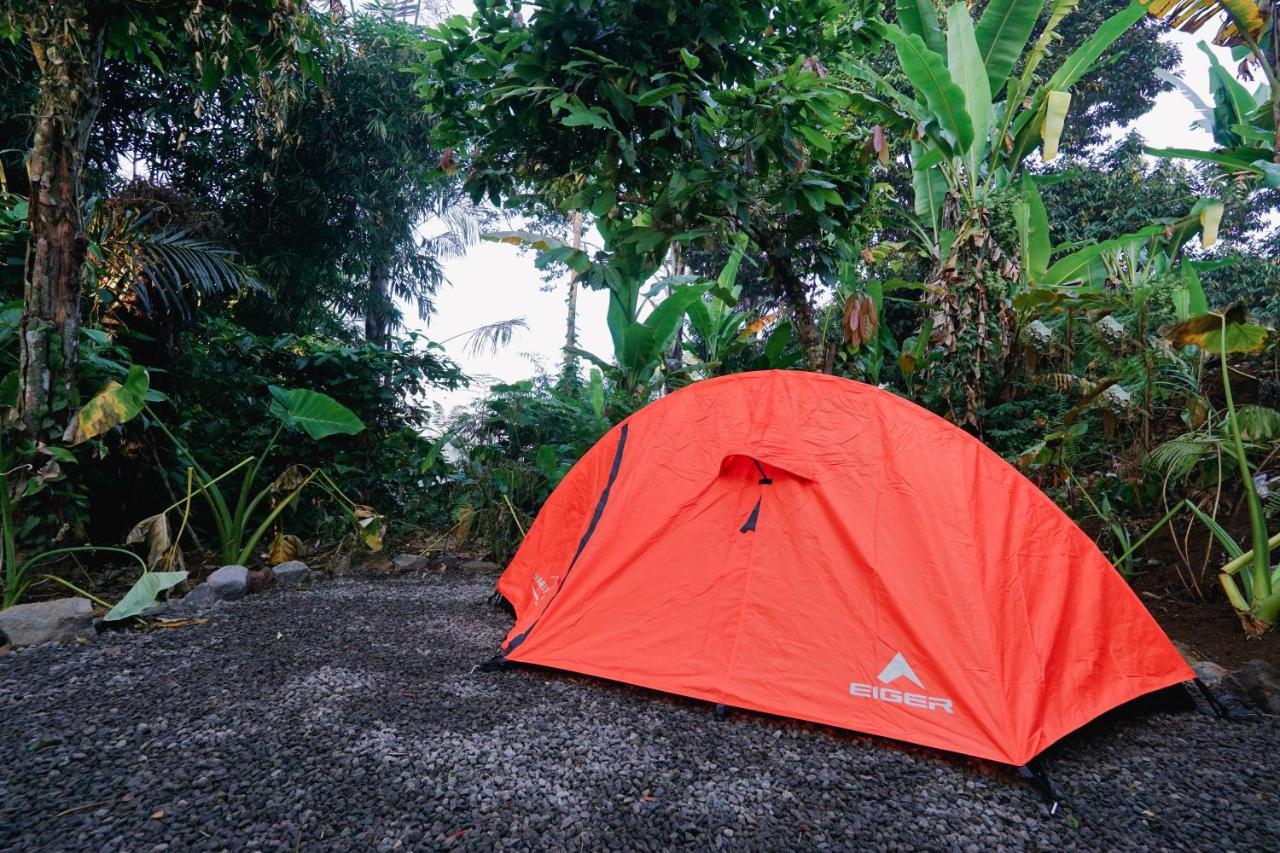 Tampaksiring Daydream Lodge מראה חיצוני תמונה